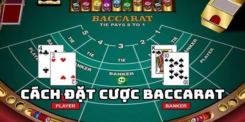 Quy trình để tham gia một ván cược Baccarat diễn ra